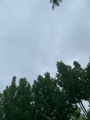 -HEYAN长风荷妍专业脱毛美肤

