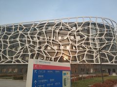 -首都医科大学附属北京天坛医院