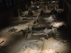 -洛阳周王城天子驾六博物馆