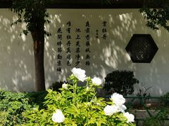 -洛阳市牡丹公园