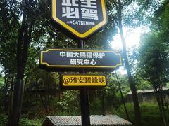 -中国大熊猫保护研究中心雅安碧峰峡基地