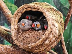 -Zoolung Zoolung动物主题公园(海信广场店)