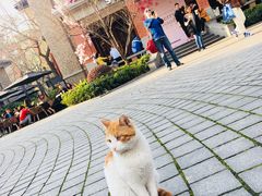 -星巴克臻选(思南公馆店)