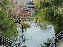 -水绘园