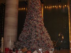 大堂-北纬29度大堂吧-重庆富力艾美酒店-近江岸天街