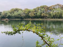 -柯岩风景区