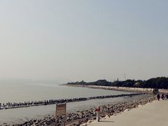 -宝安西湾红树林湿地公园