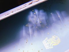 -广州富力丽思卡尔顿酒店·丽轩·粤菜