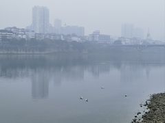 -乐山市博物馆