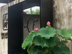 -几荷·恰似故人来(秀水广场店)