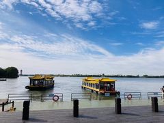 -溱湖国家湿地公园