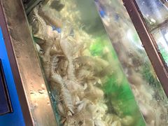 -V-ONE西雅图海鲜自助餐厅(仓山万达广场店)