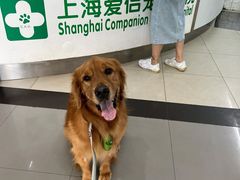 -爱侣宠医·鹦鹉专科·小型哺乳类·异宠专科(灵石路店)