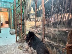 -北京动物园-畅观楼