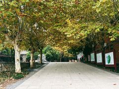 -冶山国家矿山公园