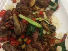 -福禄财东北菜(珠江帝景店)