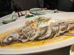 苏帮清蒸白鱼-苏帮袁Sue Cuisine(来福士店)