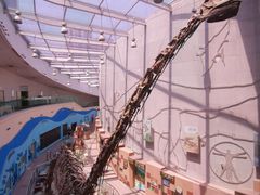 -陕西自然博物馆