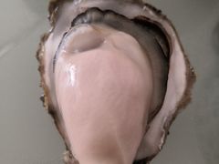 -韩家墅海吉星农产品批发市场