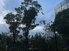 -OT另茶(上海幸福里店)