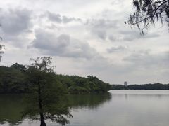-海珠湖公园