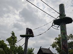 -上海野生动物园