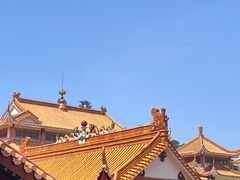 -深圳仙湖植物园