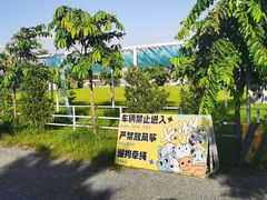 -长洲岛都市农业公园