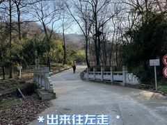 -南京老山国家森林公园