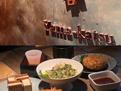 -山杏yama-katsu·吉列炸物