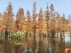 -白鹭湾湿地公园