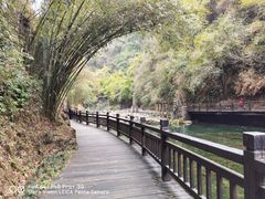 -三峡人家风景区