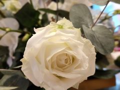 -广州富力丽思卡尔顿酒店·丽轩·粤菜