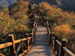 -大岭沟猕猴桃谷风景区