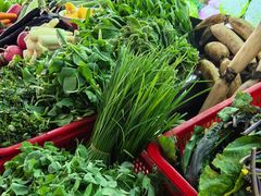 -雅和生态渔庄·宜城锅巴饭(龙灵山公园店)