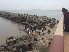 -东疆建设开发纪念公园