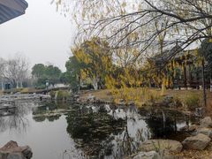 -金银湖国家城市湿地公园