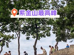 -紫金山山顶公园