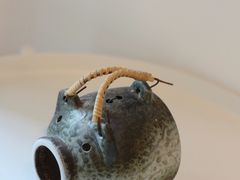 -猫里有甜