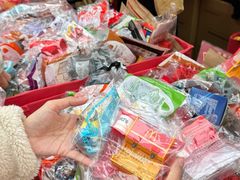 -越秀西湖花市(广州城市广场花卉店)