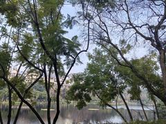 -重庆彩云湖湿地公园