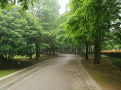 -苏州河梦清园环保主题公园