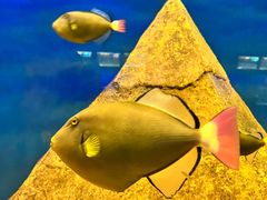 -北海海底世界