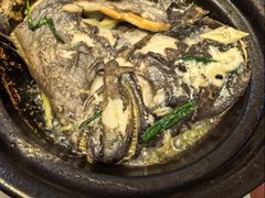 -金龙·打边炉(武进路店)