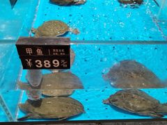 -艳阳天·非遗楚菜(武汉客厅店)