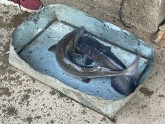 -姥家大锅台水库渔家