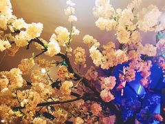 -北京花见餐饮管理有限公司