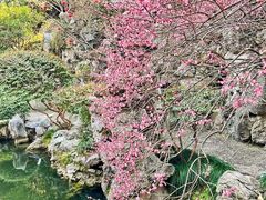 -胡雪岩故居