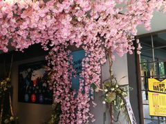 -sugarman espresso素饮糖人高新咖啡工厂
