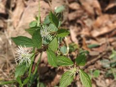 -南京金牛湖风景区